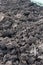 Closeup of a plowed field, fertile, black soil