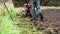 Closeup of plowing the land with motor cultivator. Agriculture