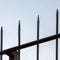 Closeup of pointed tines of an iron fence against a white sky