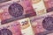 Closeup Polish zloty banknotes background. PLNpattern