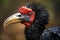 Closeup portrait bird fantastic. Mystical photography, non-existent bird