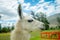 Closeup portrait of cute llama