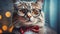 Closeup portrait of funny cat wearing glasses and tie bow, blurred room interior
