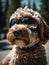 closeup portrait of a happy Goldendoodle with snowboard goggles outdoor. AI generative