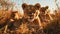 Closeup portrait of lion pride family in african savanna with adults and young