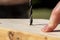 A closeup portrait of a person drilling a hole in a piece of pine wood. The wood drill bit has already cut itself a bit into the