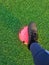 Closeup portrait shot of soccer cleats on a ball in a green field with natural light