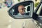 Closeup portrait of side view mirror car reflection of handsome business man driver driving car looking to the road, isolated