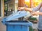 Closeup portrait woman hand throwing empty plastic water bottle