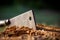 A closeup portrait of a wood cleaver stuck in a piece of wood. The metal chopper has a wooden handhold and is stuck in a stump of