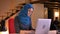 Closeup portrait of young serious muslim businesswoman in hijab being busy and typing on the laptop in hurry indoors on