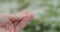 Closeup pov male hand holding hailstones after hailstorm