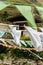 Closeup of prayer flags on the iron bridge of Tamchog Lhakhang Monastery, Paro River, Bhutan