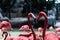 Closeup profile portrait of a pink flamingo. A group of flamingoes. Pink flamingos against green background