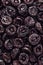 Closeup of prunes background texture.