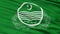 Closeup Punjab city flag, Pakistan