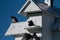 Closeup of purple martins (Progne subis) on a birdhouse against blue sky