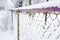 Closeup of purple mesh fence covered in snow