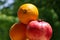 Closeup pyramid of oranges and pomegranate ready to juice