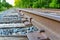 Closeup of railroad spikes and ties