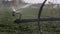 A closeup of a rainbird style agricultural sprinkler watering a farm field.