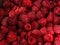 Closeup raspberries