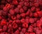 Closeup raspberries