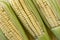 Closeup of raw corn cobs with straw over wood