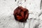 Closeup of a raw garnet mineral stone on mother rock