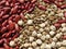 Closeup of Raw Red Beans, lentils and chickpeas Background