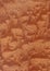 Closeup real natural wood grain of veneer background and texture, Pattern for decoration.