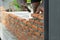 Closeup red bricklayers wall and trowel with dirty hands of worker background