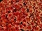 Closeup of the red Carousel Blushing Salmon chrysanthemum flowers