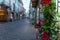 Closeup of red flowers on the building near a street in Crema in Italy