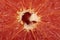 Closeup of red grapefruit.