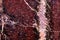 Closeup of red jasper mineral stone, pattern background