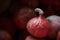 Closeup of a red Kuri Hubbard Squash, a pile on the background
