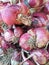 Closeup red onion. Thai herb and can be cooked