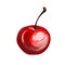 Closeup red ripe juicy cherry illustration