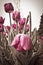 Closeup of red tulip with broken stem on blurred background with