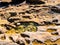 Closeup of reddish and yellow rock formations on a beach in Royal National Park in Sydney