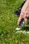 Closeup referee with vanishing spray on turf