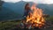 Closeup relaxed woman camping on nature. Tourist look bonfire in mountains trip.