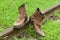 Closeup, Retro brown boot are placed on the tracks