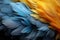 Closeup reveals the intricate details of a blue and yellow feather\\\'s beauty