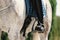 Closeup rider& x27;s foot in the stirrup. Dressage of horses. Horseback riding