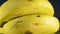 Closeup of ripe bananas with dark background