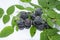 Closeup Of Ripe Black Raspberries On White Background