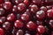 Closeup of ripe cherries. Large collection of fresh red cherries. Ripe cherries background. sweet cherries