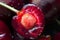 Closeup ripe red cherry, juicy berry cut into half with stone, on background of other fruits. Horizontal macro shot for